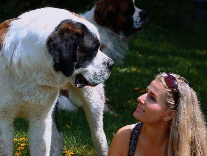 Dogs Help Create New Best Friends