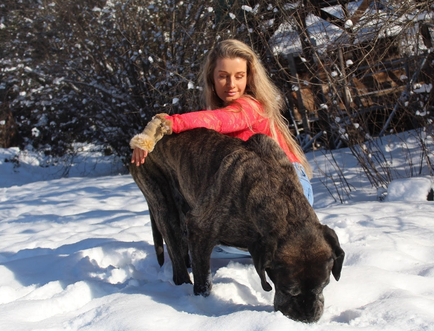 Jasmine from Jasikini swimwear with her dog Seena, a Cane Corso.